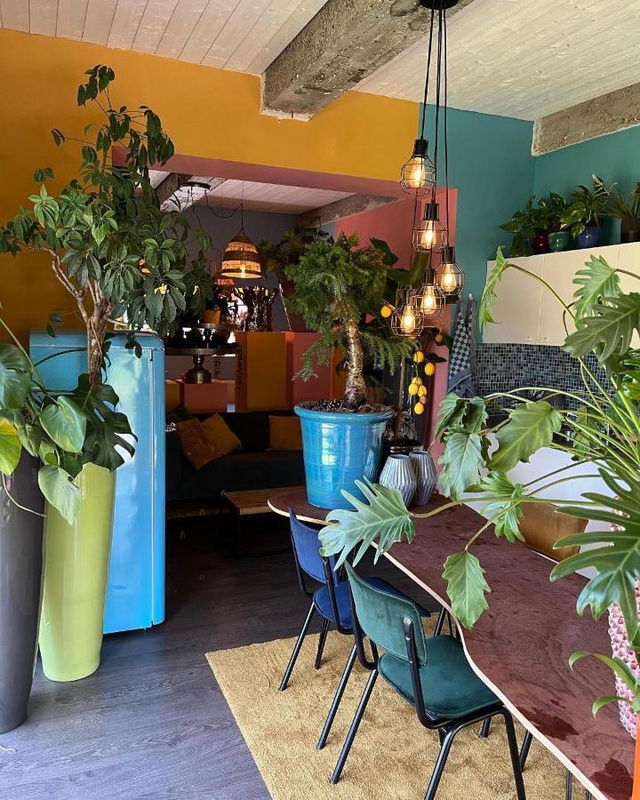 Plantkot -Boekenkot -Kunstkot En Love Kot Poelkapelle Екстер'єр фото